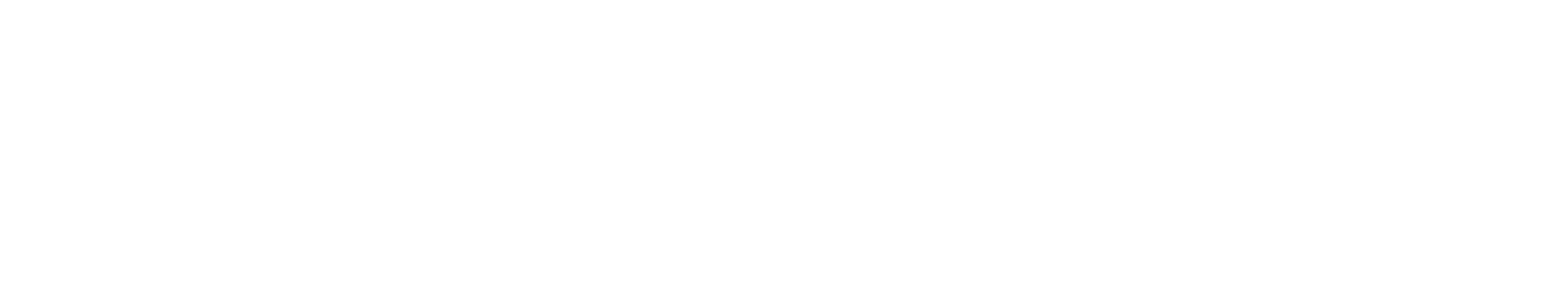 Aer-Lingus-Logo-White
